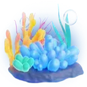 Подарок Coral в TikTok