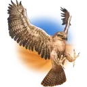 Подарок Falcon в TikTok