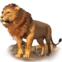 Подарок Lion в TikTok